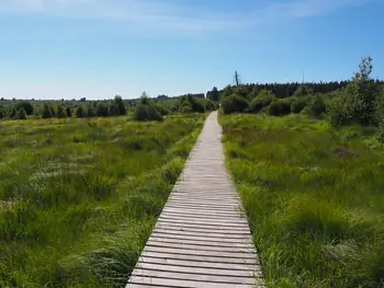 Signal de Botrange (Belgium)